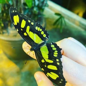 Meet your Posher, Melanie